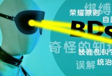 谈谈bdsm，深入浅出地理解sm、dom、sub等概念的区别-斯慕社