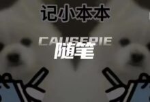 字母圈既想要肮脏粗暴的危险游戏，又想要平等尊重的健康关系-斯慕社