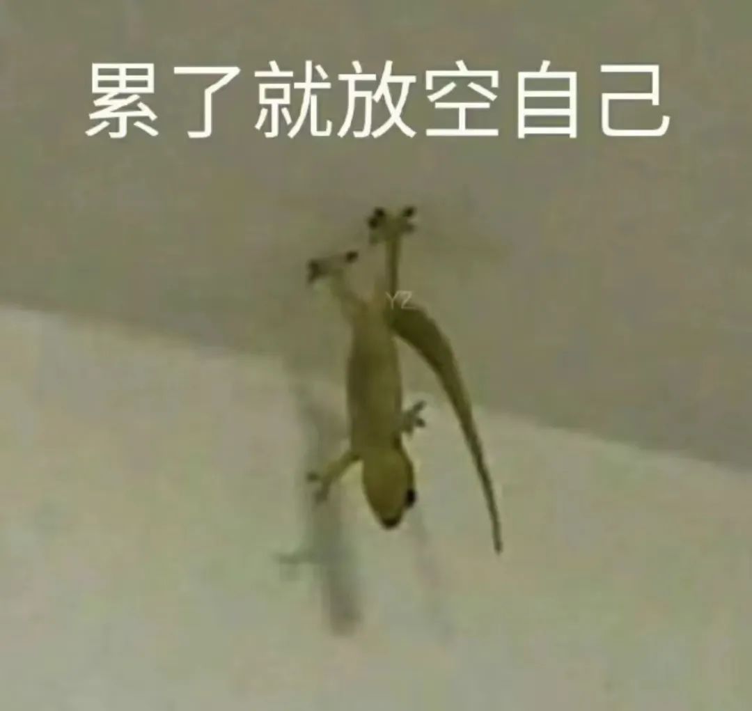 字母圈物化play,我不做人了,jojo! 字母圈物化play,我不做人了,jojo!
