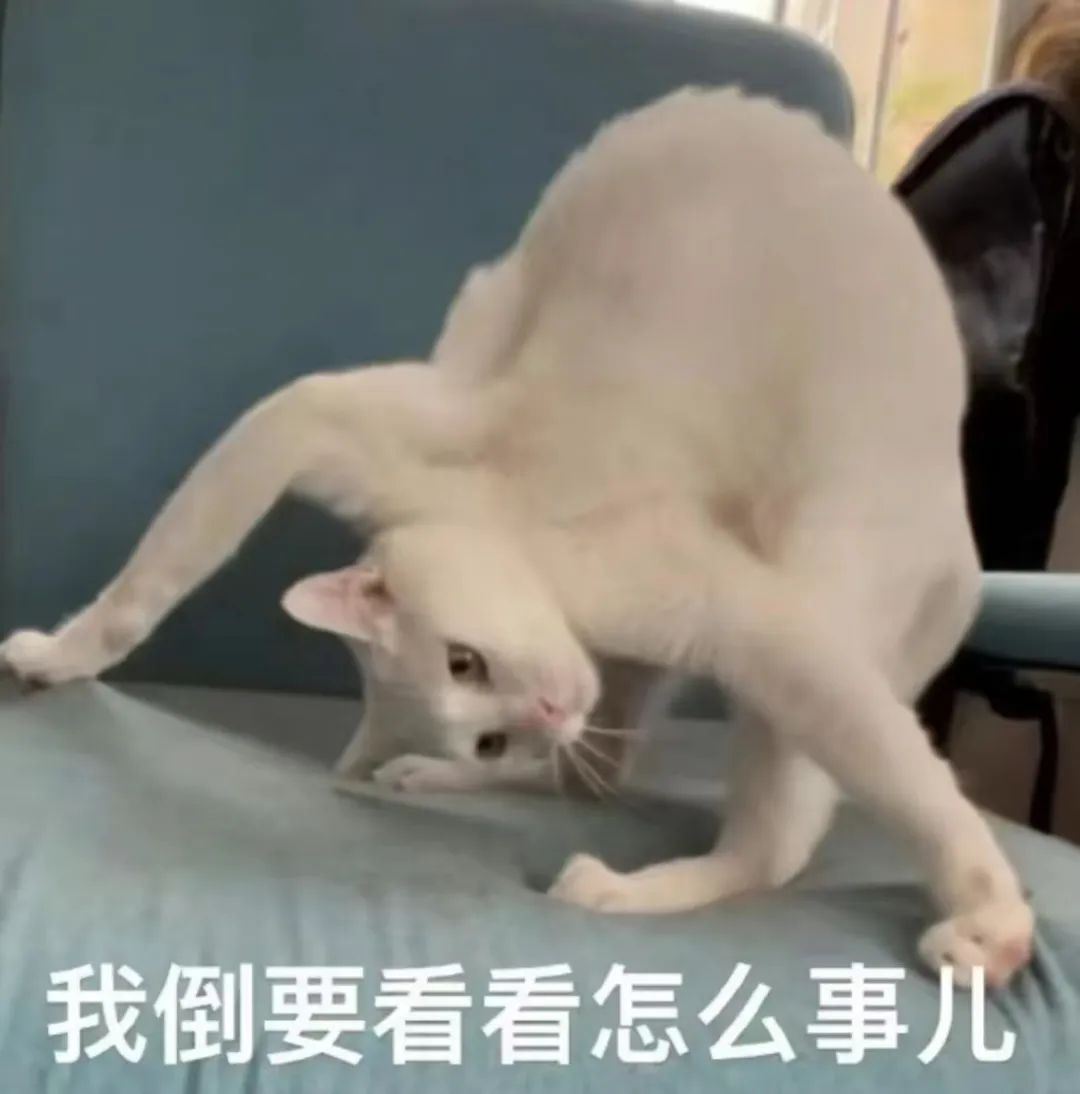 字母圈物化play,我不做人了,jojo! 字母圈物化play,我不做人了,jojo!