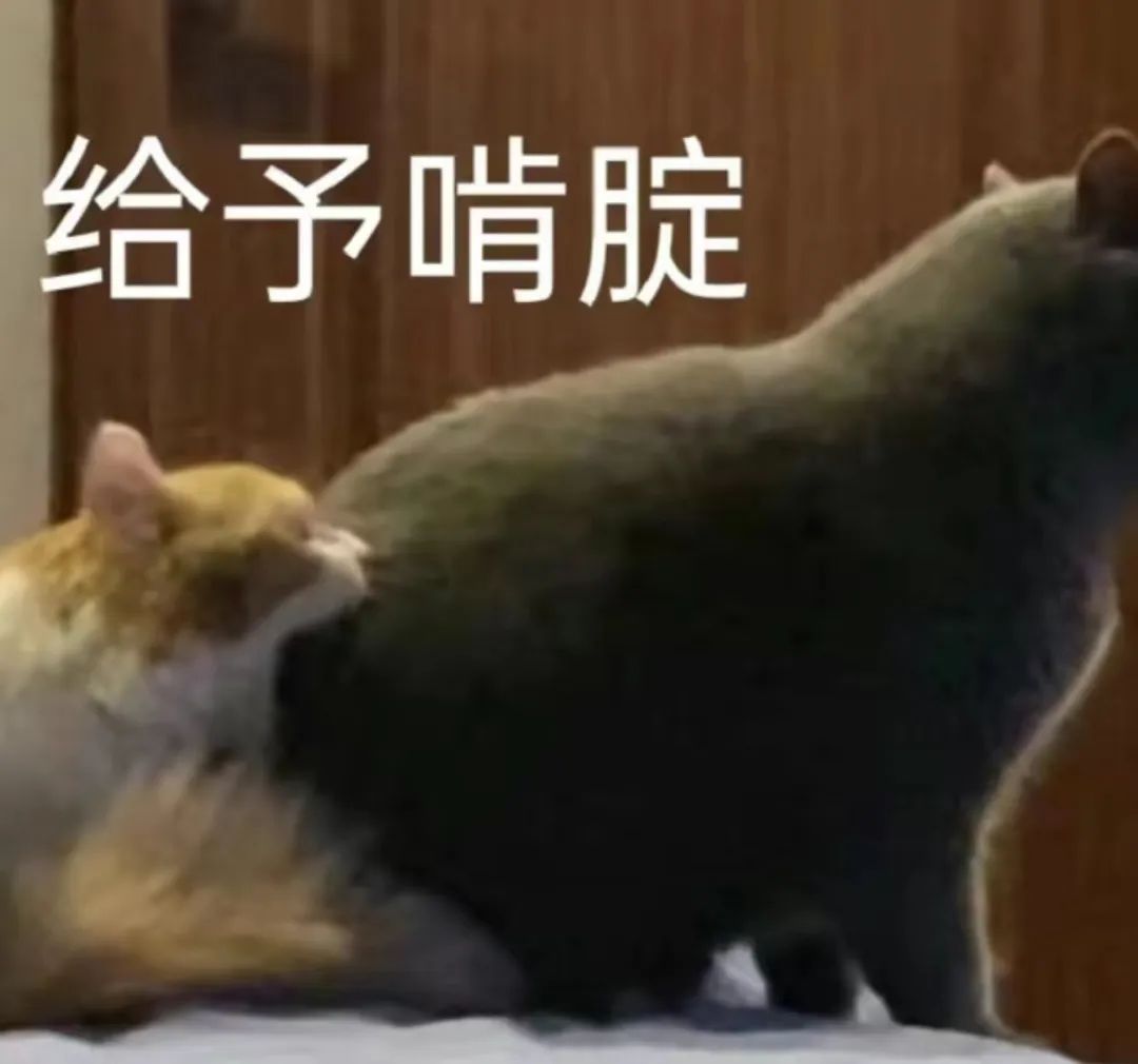 字母圈物化play,我不做人了,jojo! 字母圈物化play,我不做人了,jojo!