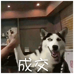 zimuquan9-1667218979
