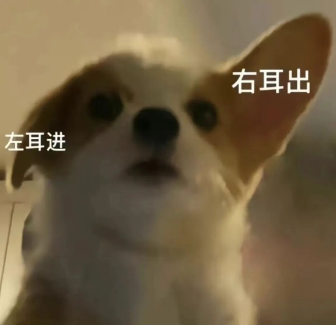 字母圈曾经梦想做“手黑严主”,现在卷技能卷到想哭 字母圈曾经梦想做“手黑严主”,现在卷技能卷到想哭