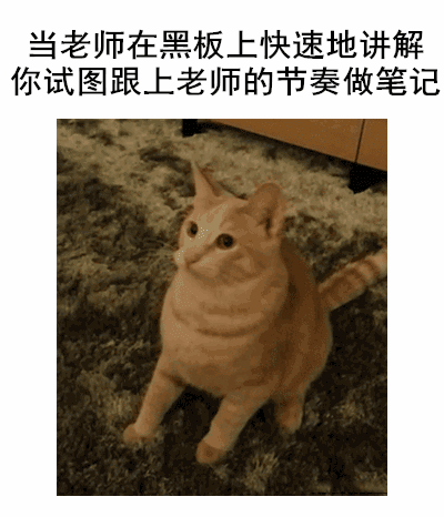 zimuquan0-1676374695