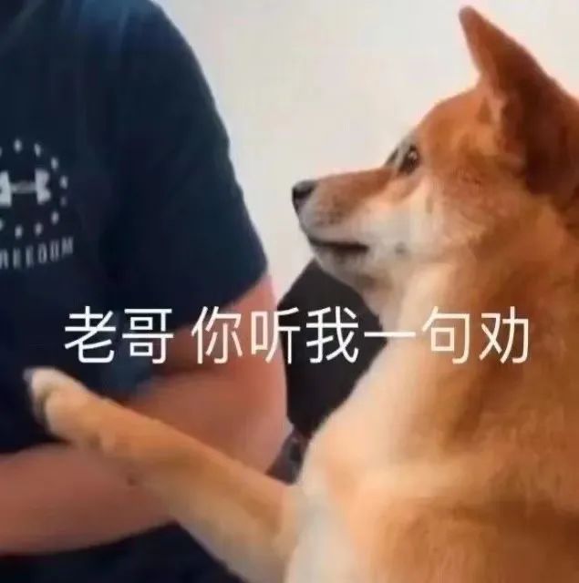 “非情侣式”字母圈BDSM关系会有理想的结局吗? “非情侣式”字母圈BDSM关系会有理想的结局吗?