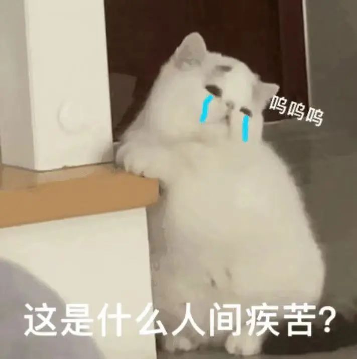 “非情侣式”字母圈BDSM关系会有理想的结局吗? “非情侣式”字母圈BDSM关系会有理想的结局吗?