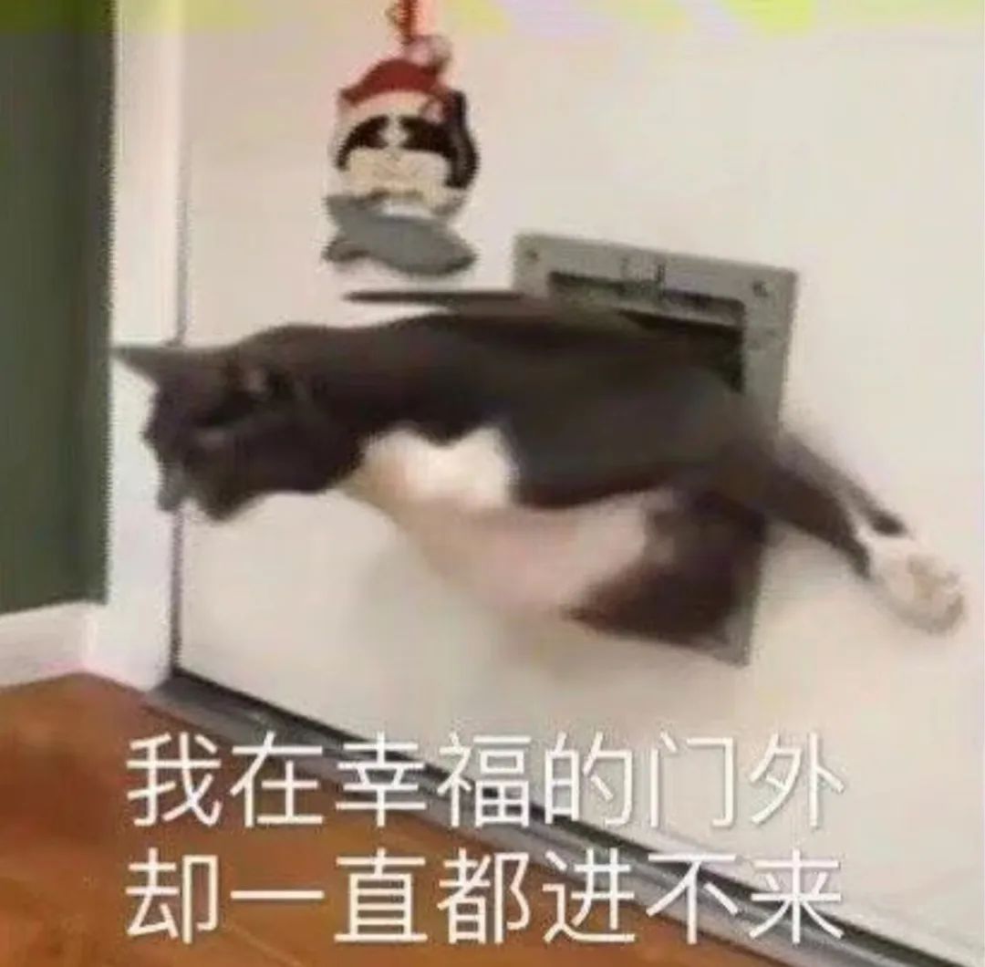 “非情侣式”字母圈BDSM关系会有理想的结局吗? “非情侣式”字母圈BDSM关系会有理想的结局吗?