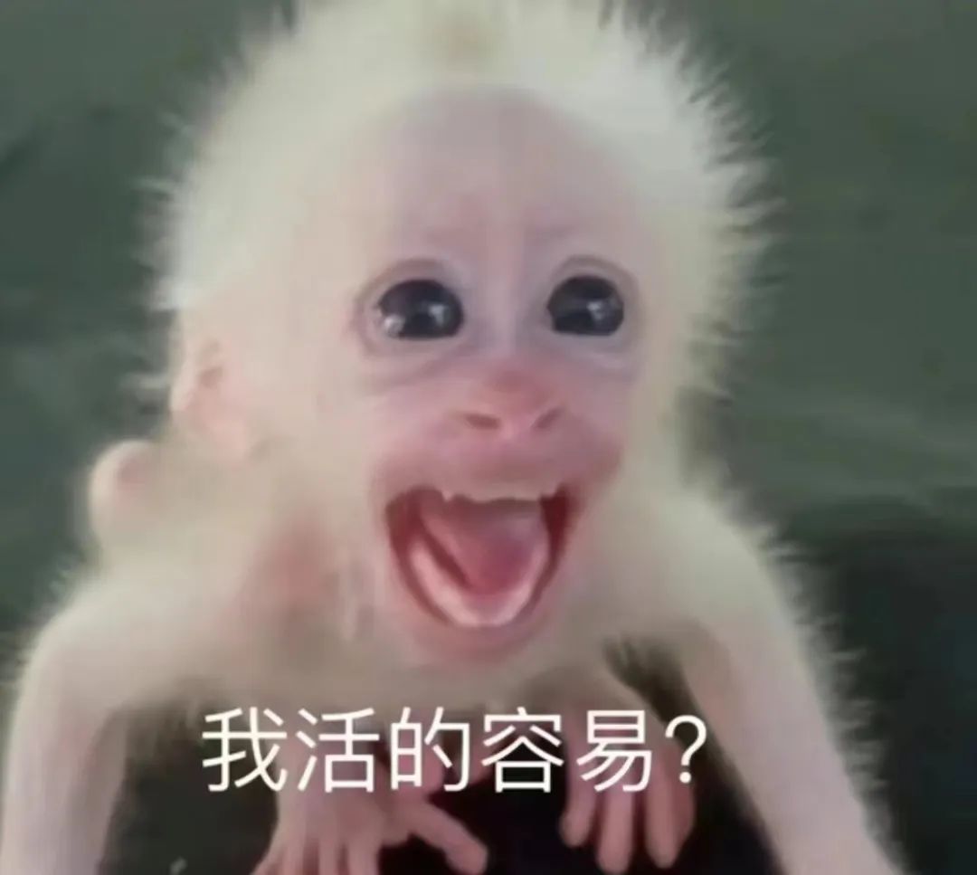 “非情侣式”字母圈BDSM关系会有理想的结局吗? “非情侣式”字母圈BDSM关系会有理想的结局吗?