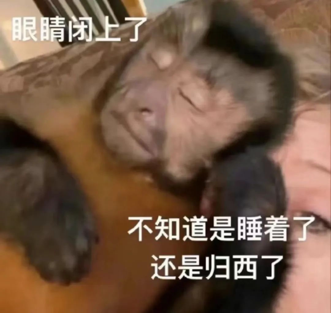 字母圈很多D/S玩家都忽视了这点重要的事 字母圈很多D/S玩家都忽视了这点重要的事