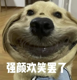 “我做了一套能监测身体的全自动自罚装置” “我做了一套能监测身体的全自动自罚装置”